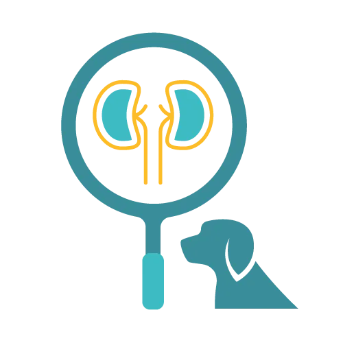 Affordable Pet Labs Kidney Disease Diagnostic Test For Dogs showing a vet technician collecting blood from a dog at home