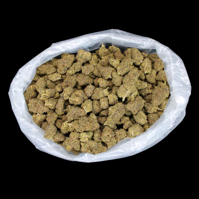 THCA Small Buds Black Truffle Indoor THCA Flower full size buds