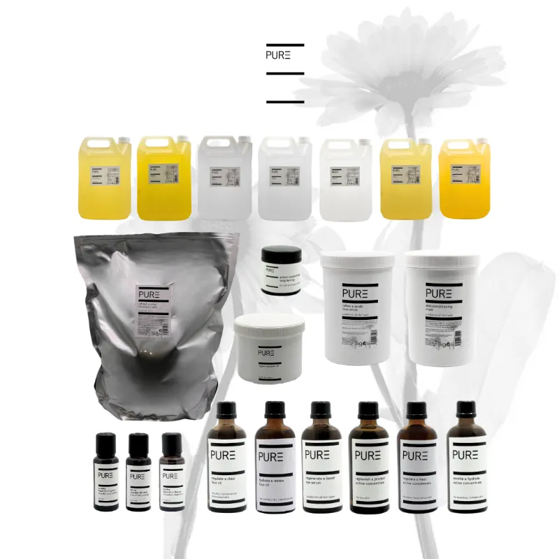 PURE Spa Skincare Professional Starter Pack (Medium) showing arranged skincare product bottles and containers