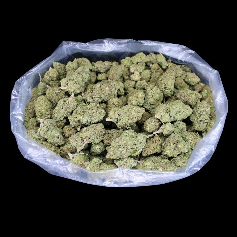 THCA Small Buds Cheap THCA Flower Pound, large quantity of dense greenhouse buds