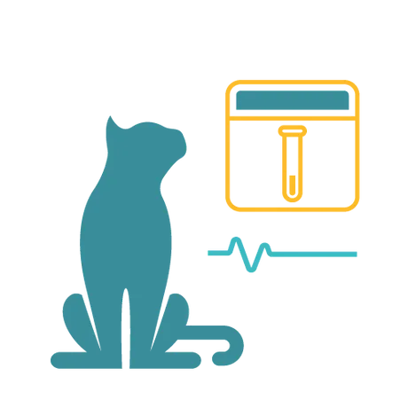 Affordable Pet Labs cat rabies titer test box containing collection tubes and clear usage instructions.