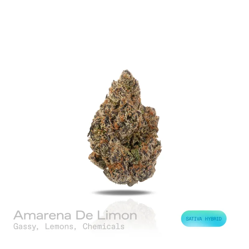Hipuffy Amarena De Limon THCa Flower (Exotic) (Sativa Hybrid) dense buds with purple hues and orange pistils
