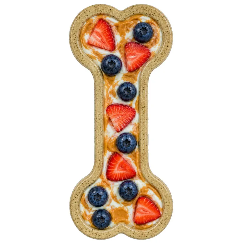Soda Pup Bone eChew Ultra Durable Nylon Dog Chew Toy for Aggressive Chewers - bone-shaped nylon chew toy on surface