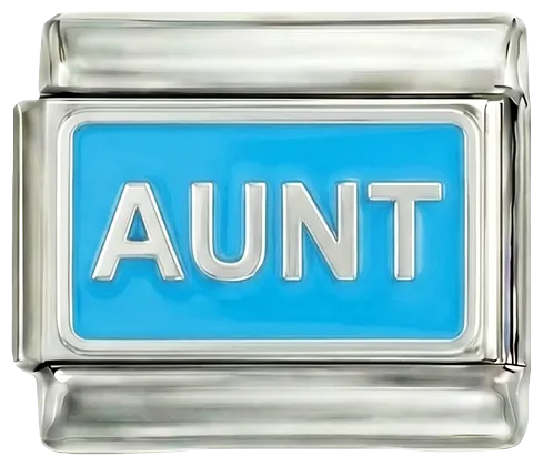 Charms Official AUNT on Silver charm for personalized bracelets