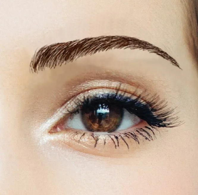 Godiva's Secret Wigs Beauty Eyebrows #2 Dark Brown semi-permanent eyebrow tattoo sheet