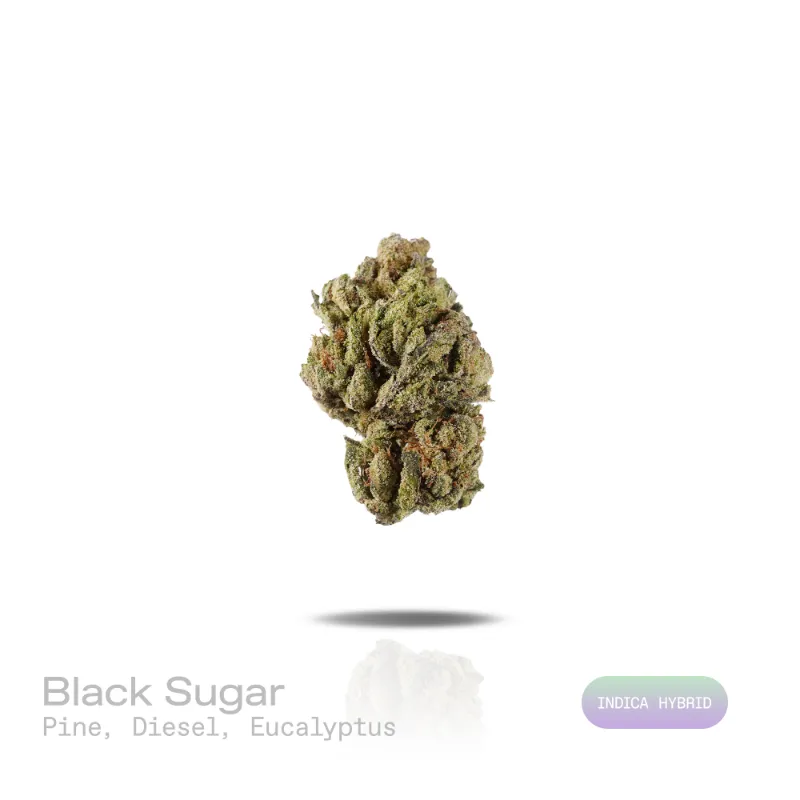 Hipuffy Black Sugar THCa Flower (Indoor) (Indica Hybrid) showing dense green buds with purple hues and orange pistils